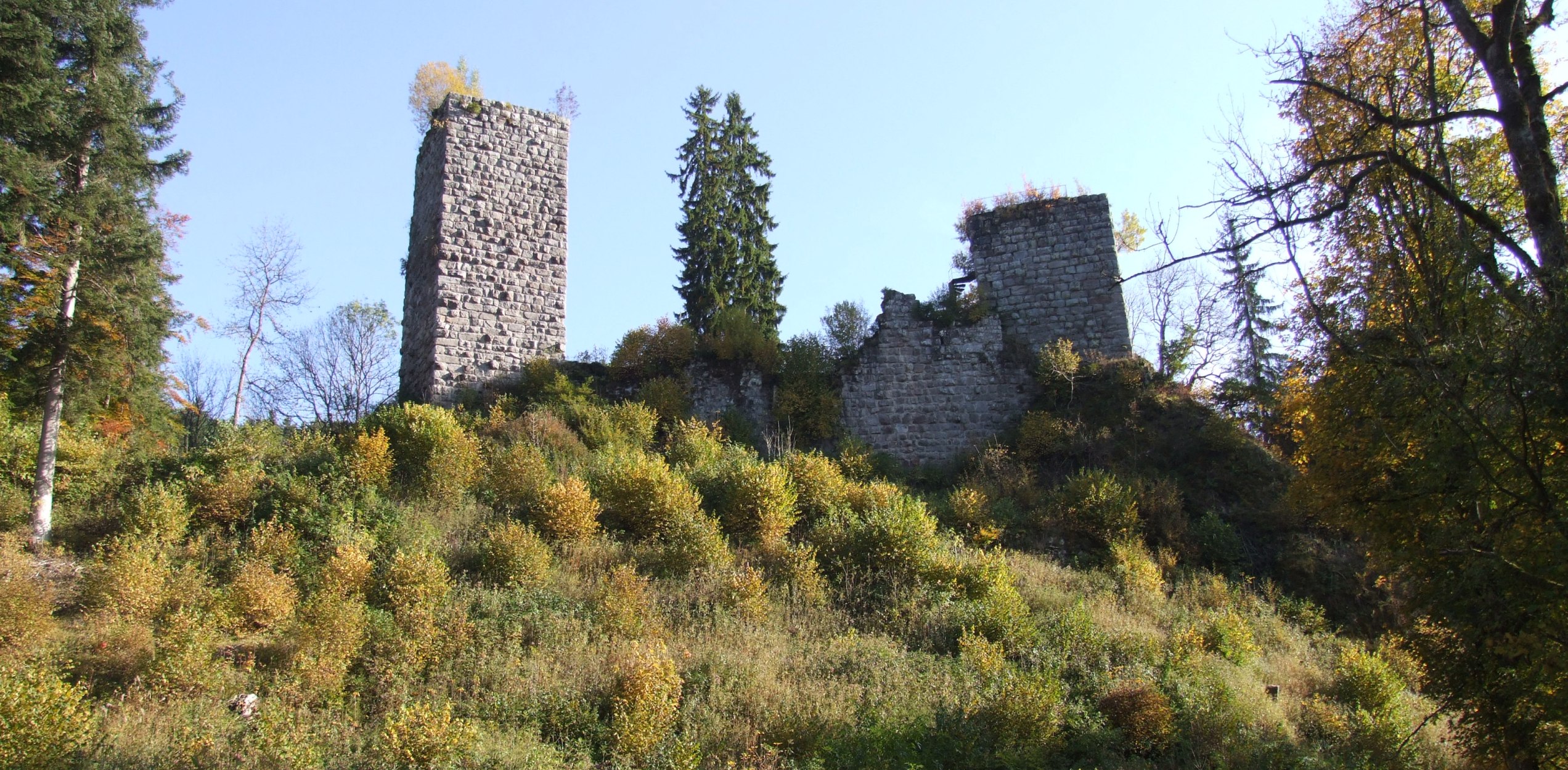 Ruine Roggenbacher Schlösser